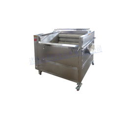 質量上乘價格公道 諸城市利特食品機械公司荷蘭薯清洗去皮機