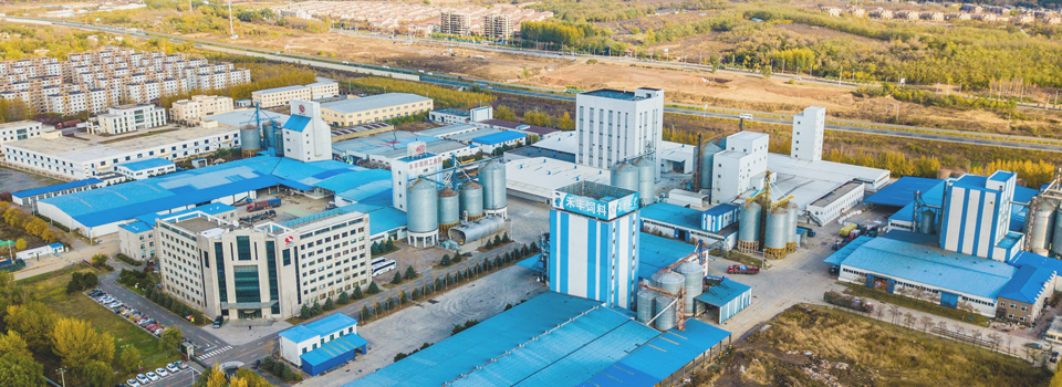 飼料生產(chǎn) 保障畜牧業(yè)健康發(fā)展的核心環(huán)節(jié)