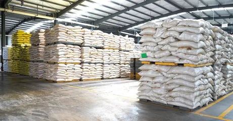 奮戰(zhàn)“開(kāi)門(mén)紅” | 隨州正大 產(chǎn)銷兩旺干勁足，跑出新春“加速度”