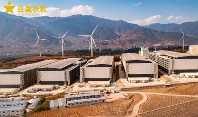 智匯農(nóng)牧，悅見未來(lái) 巨星農(nóng)牧德昌生豬繁育一體化項(xiàng)目開放日盛大啟幕